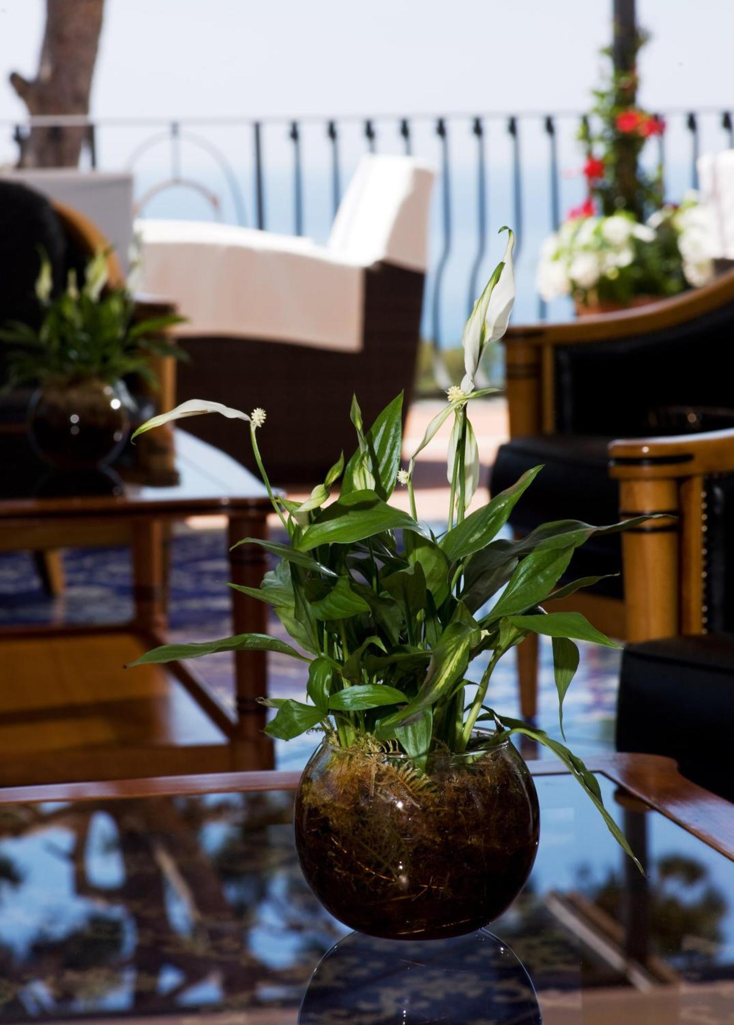 Casa Morgano Otel Capri Dış mekan fotoğraf